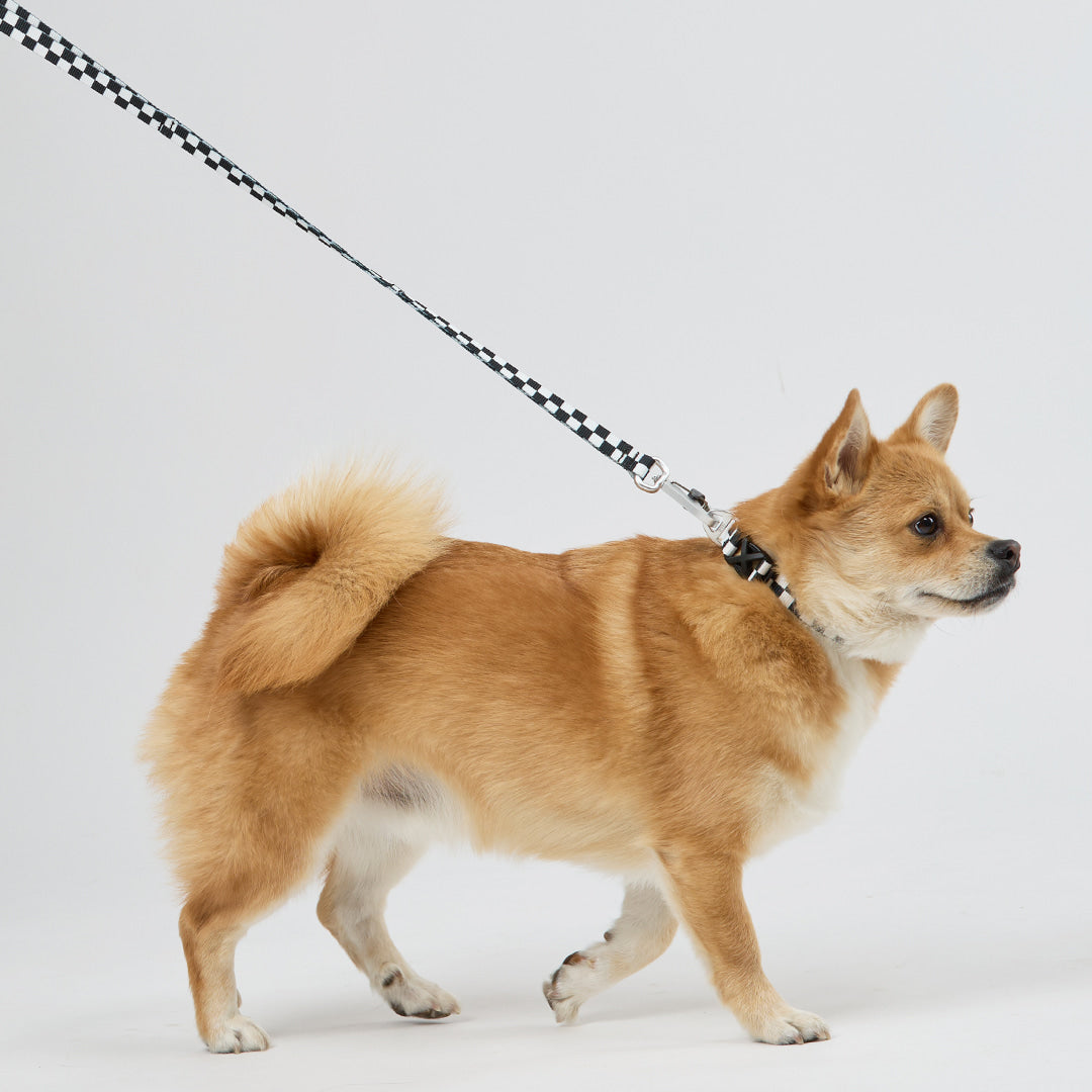 TENTEN Black Leash - Hands Free
