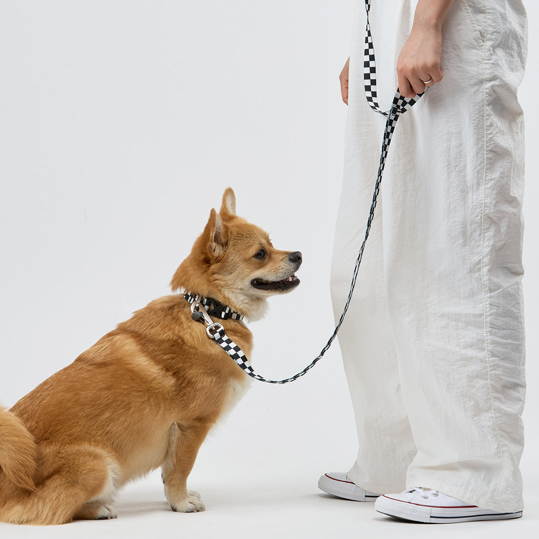 TENTEN Black Leash - Hands Free