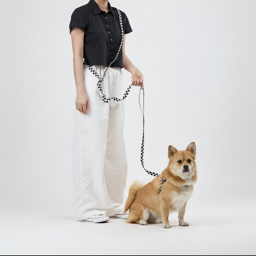 TENTEN Black Leash - Hands Free