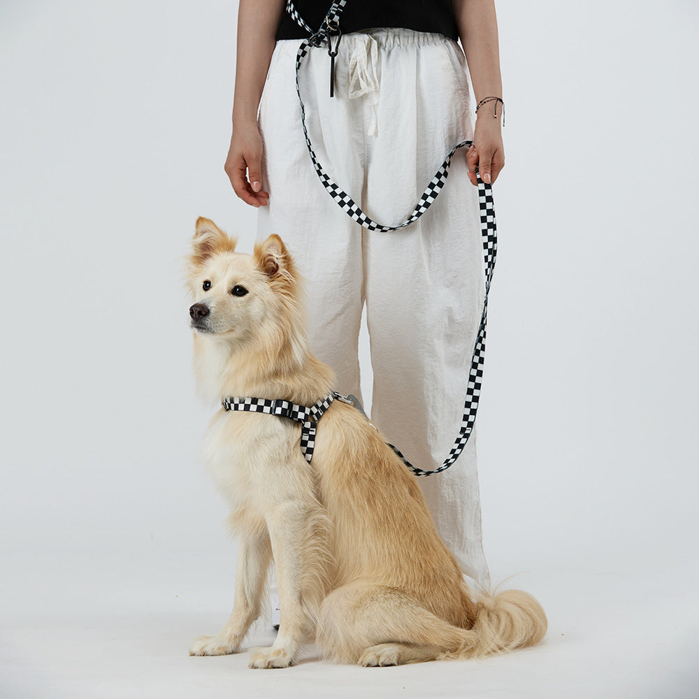 TENTEN Black Harness