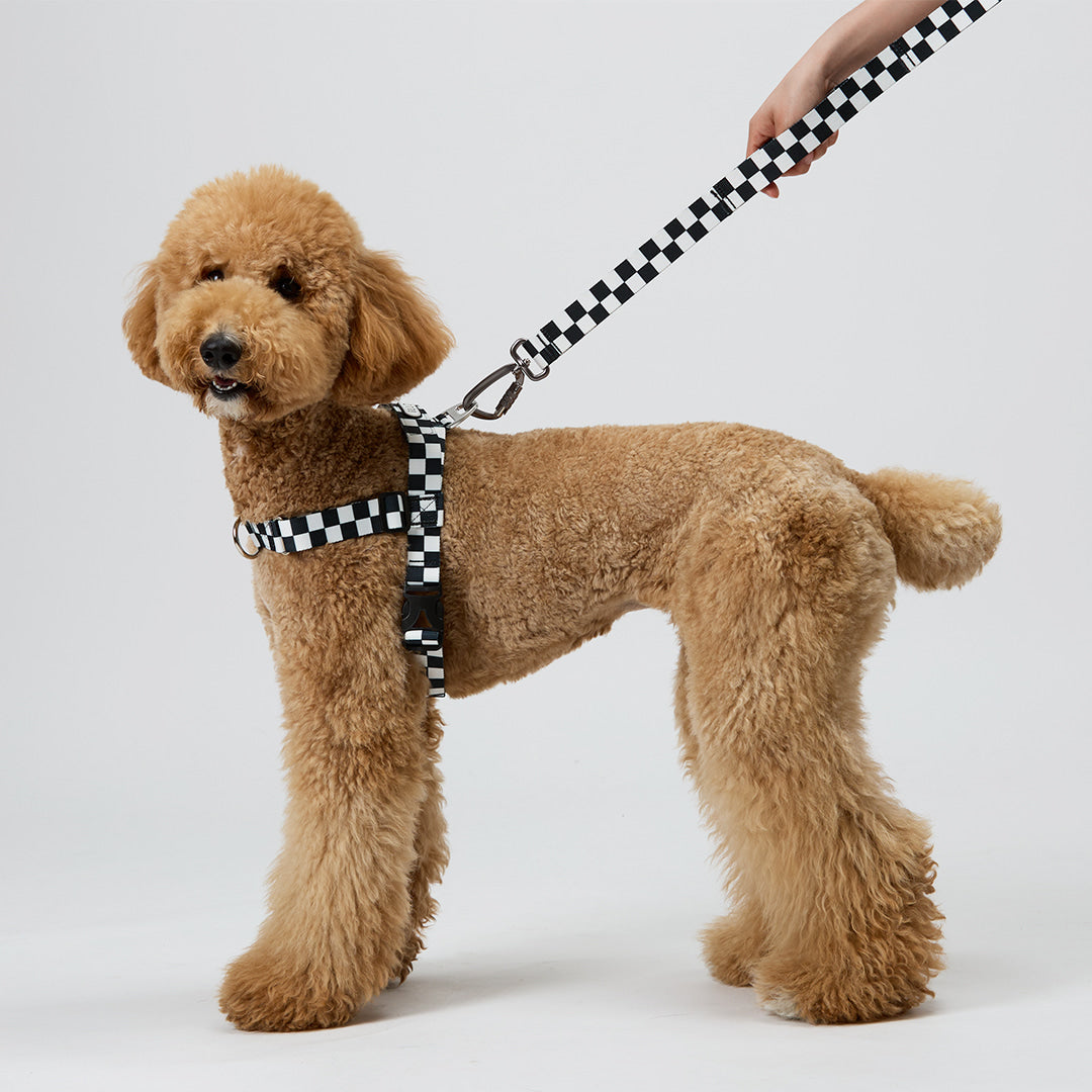 TENTEN Black Max Harness