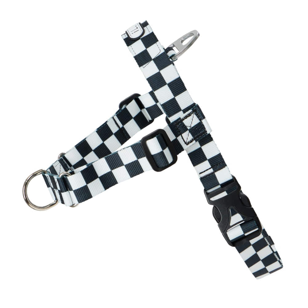 TENTEN Black Max Harness