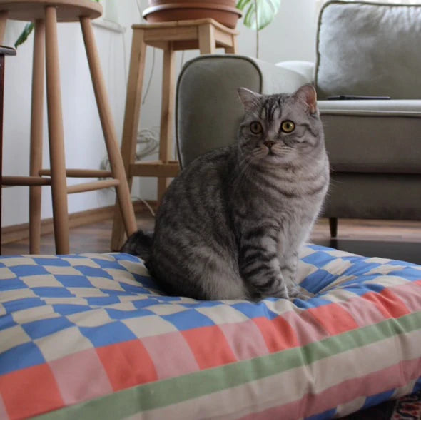 Chessly Cushion Cat and Dog Bed