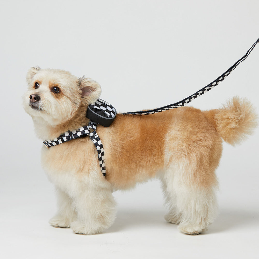 TENTEN Black Harness