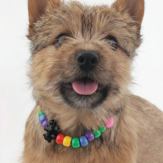 Candy Shop Beads Necklace