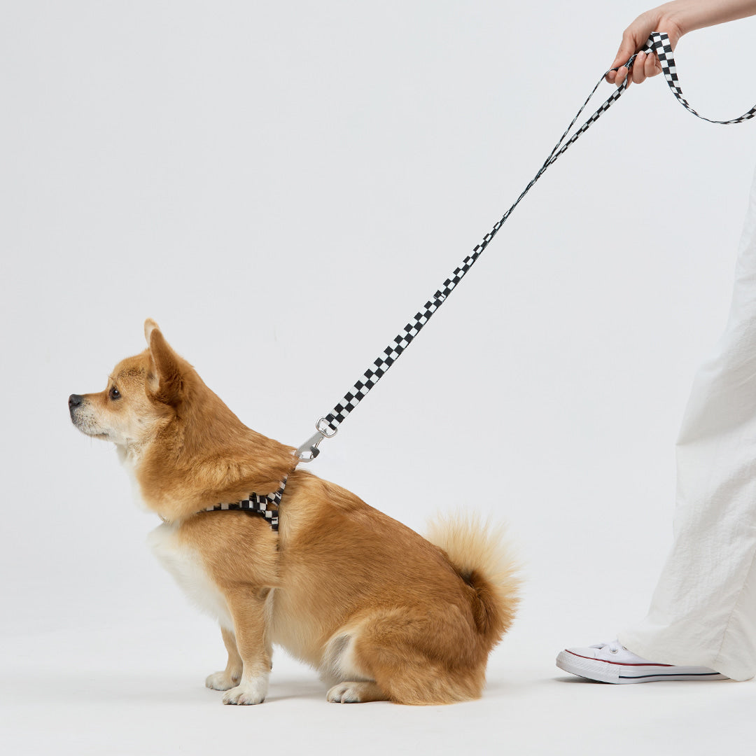 TENTEN Black Leash - Hands Free