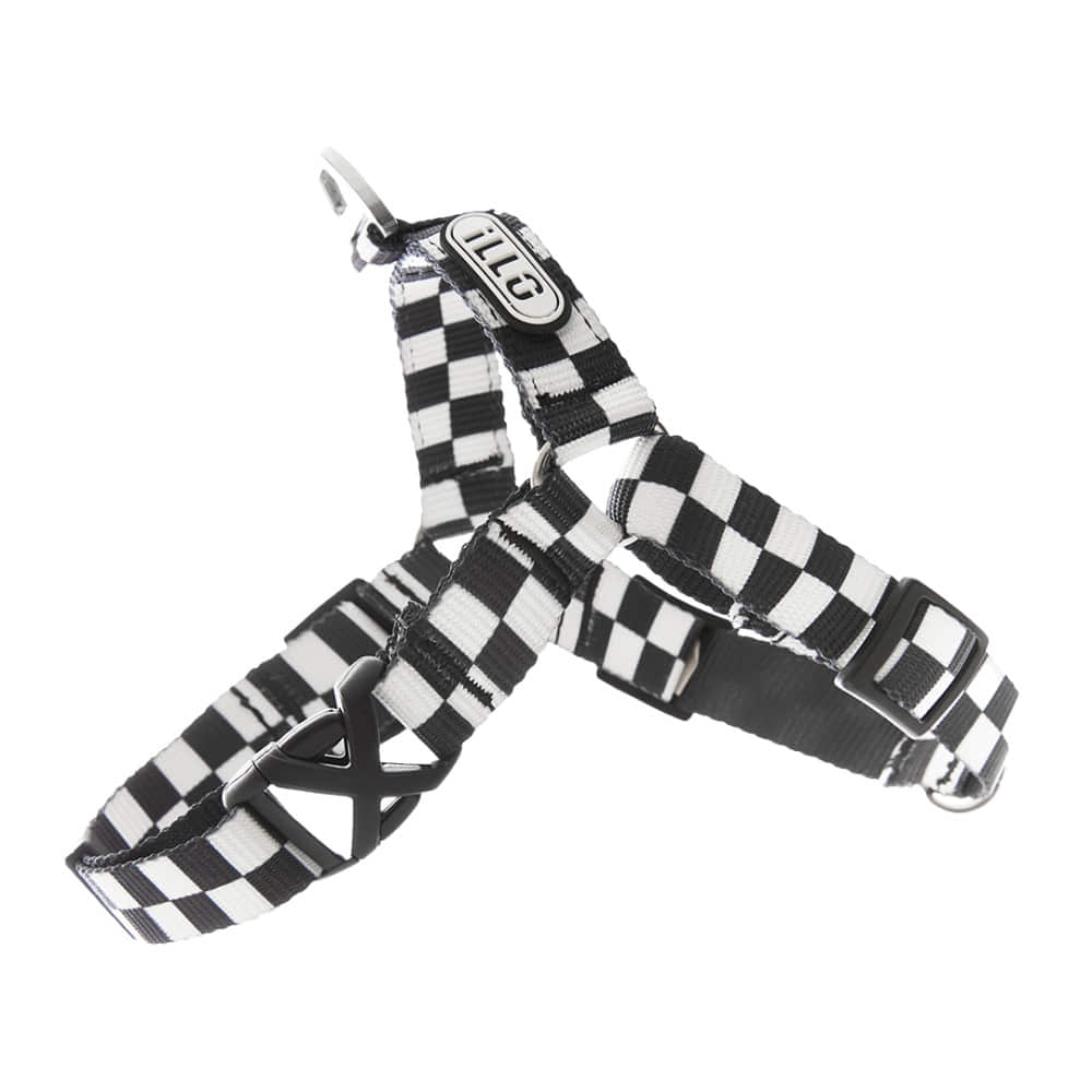 TENTEN Black Harness