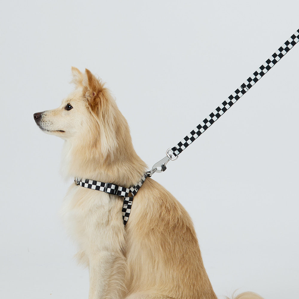 TENTEN Black Harness