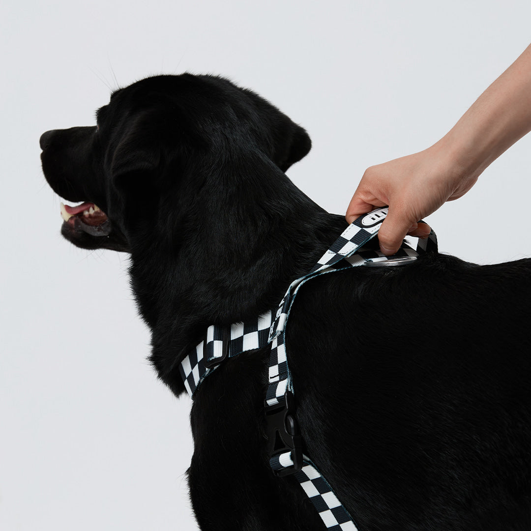 TENTEN Black Max Harness