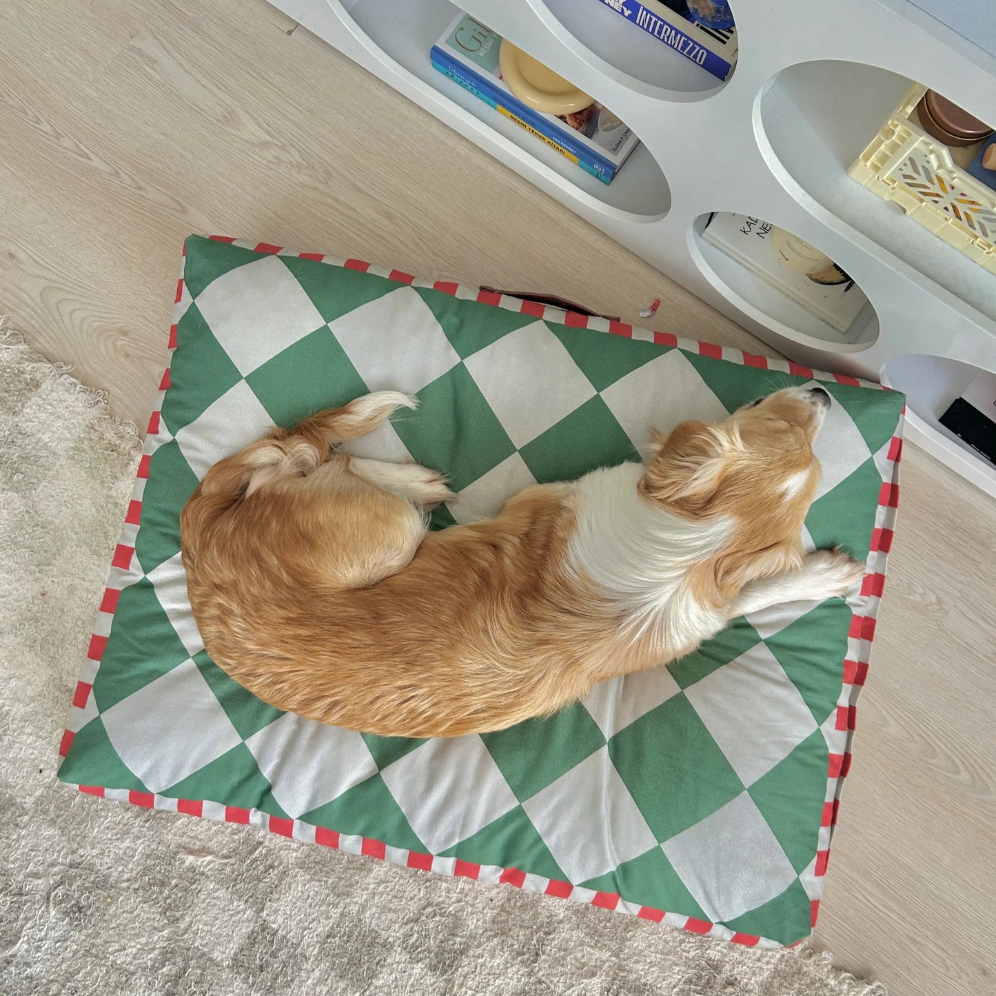 Ziggy Cushion Cat and Dog Bed