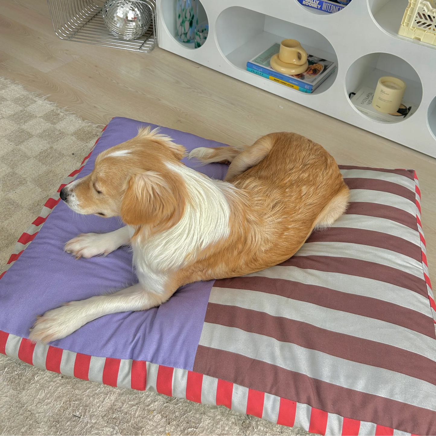 Ziggy Cushion Cat and Dog Bed